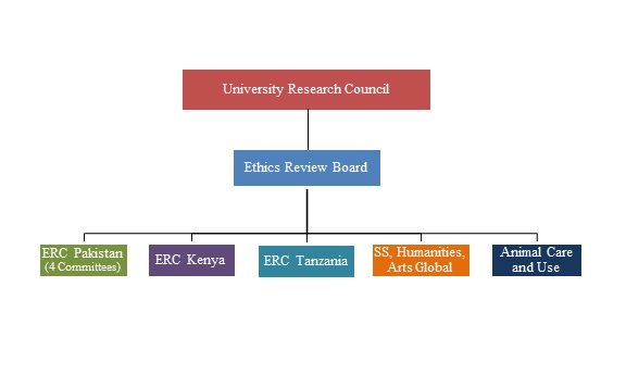 Ethics Review Board And Committees Office Of Research And Graduate Studies Aga Khan University
